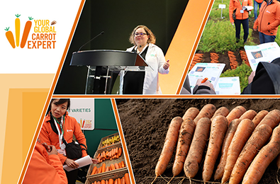 Carrots symposium 2023 Great Britain Vilmorin