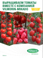 Vilmorin Tomato Brochure