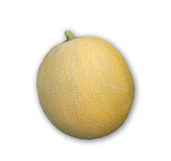 Дыня