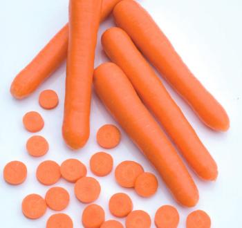 Carrots Vilmorin