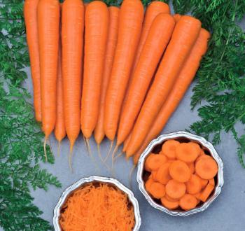 Carrots Volcano Vilmorin
