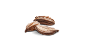 Морковь Вильморин 