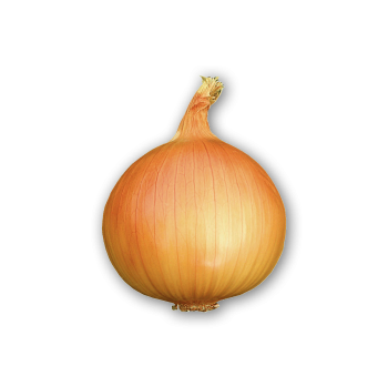 Лук